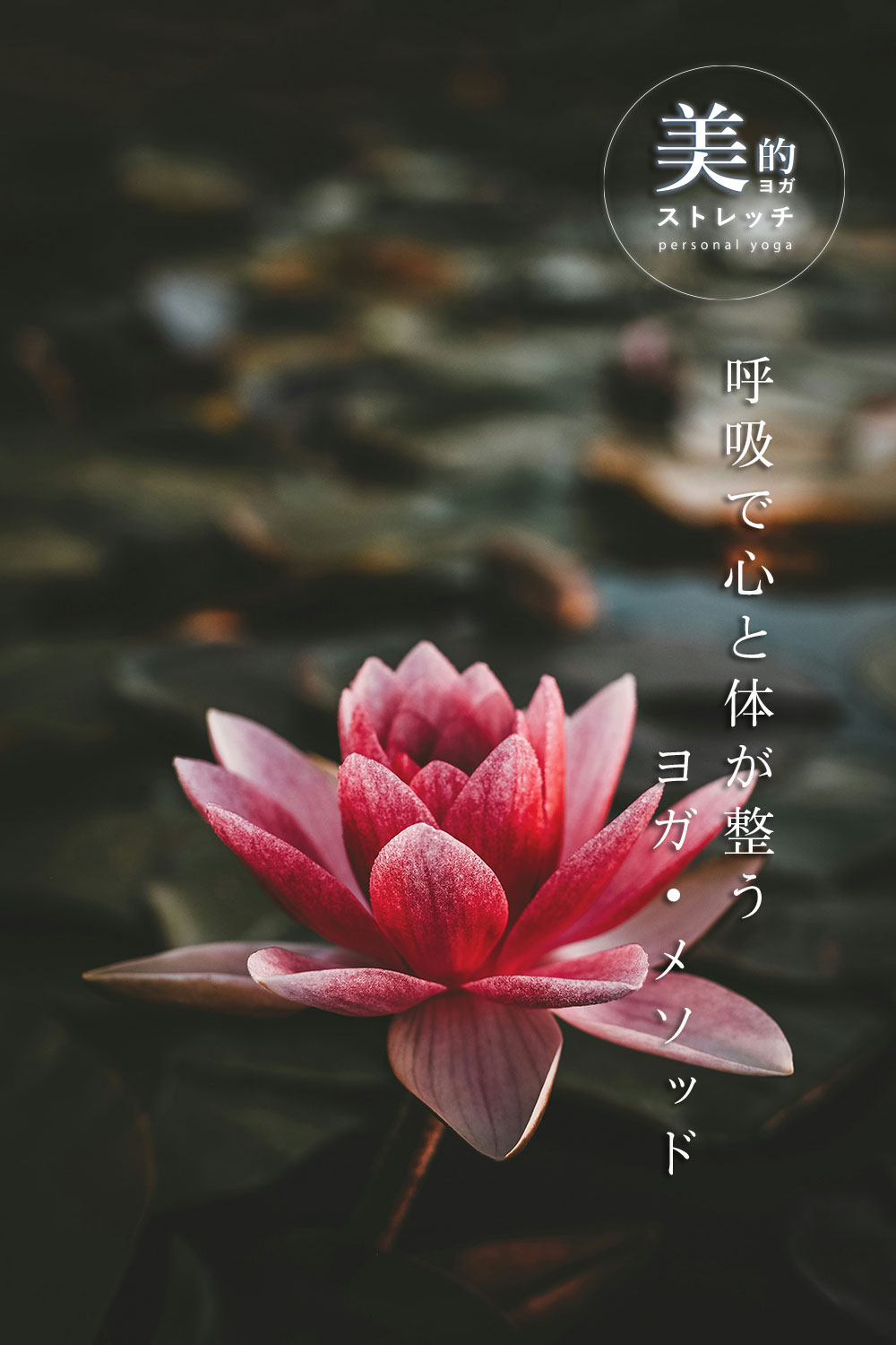 TOP画像