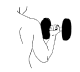 トレーニング